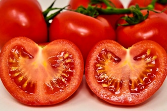 Spotlight on Tomatoes